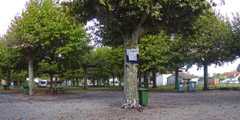 JPEG - 1.1 Mo
