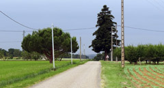 JPEG - 602.9 ko